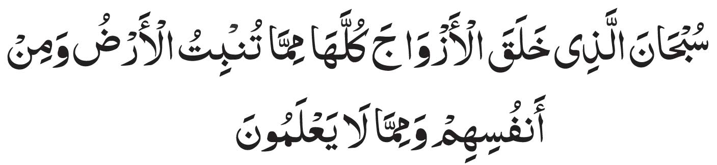 surah-yaseen-ayat-36